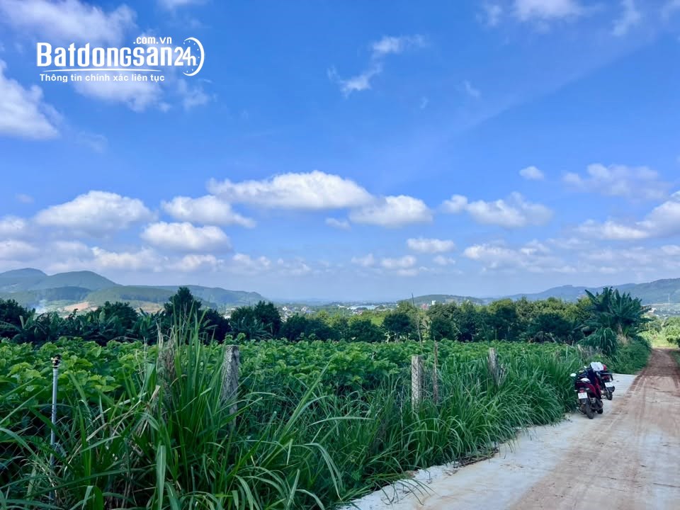 Bán đất Nam Ban, Lâm Đồng, 502m², giá tốt, 200m² thổ cư, view đồi nghỉ dưỡng.
