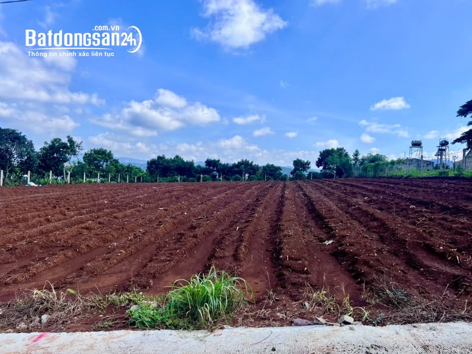 Bán đất Nam Ban, Lâm Đồng, 502m², giá tốt, 200m² thổ cư, view đồi nghỉ dưỡng.