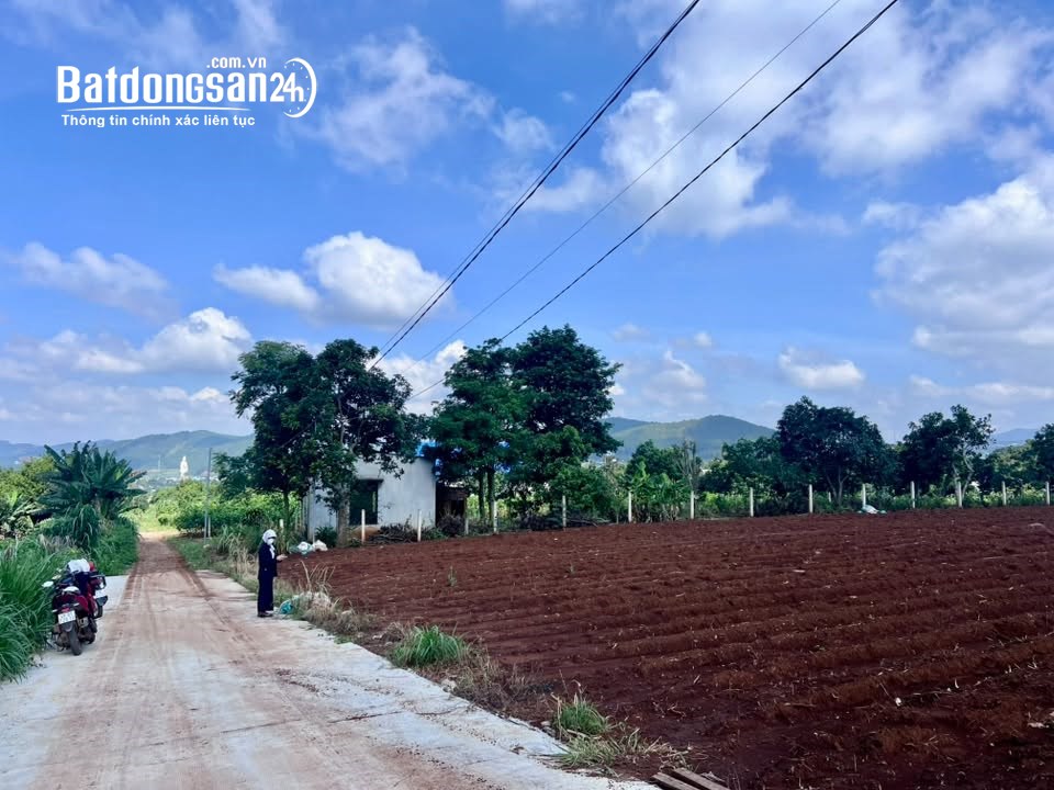 Bán đất Nam Ban, Lâm Đồng, 502m², giá tốt, 200m² thổ cư, view đồi nghỉ dưỡng.
