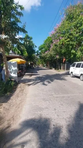 Đất mặt tiền đường Quang Châu, Hòa Xuân, Đà Nẵng, 110m², 3.9 tỷ, ngay cổng thôn.