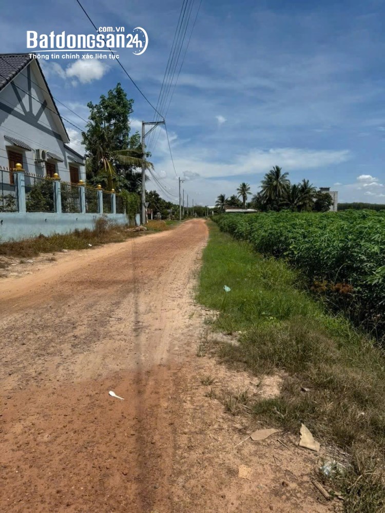 Bán đất 2 mặt tiền Hương Lộ 4, Hảo Đước, Tây Ninh, diện tích gần 1ha, giá 8 tỷ.