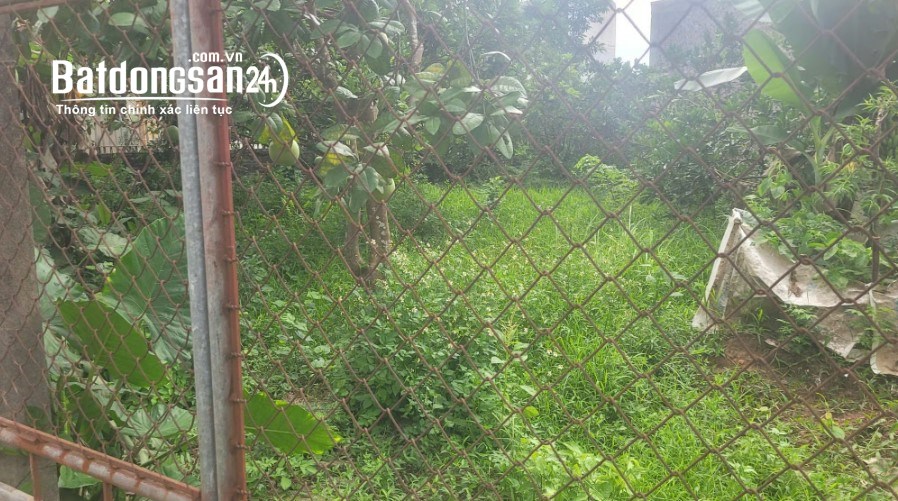 Bán đất thổ cư 250m2, giá 15 tỷ, mặt tiền đường trục Phụng Châu, Chương Mỹ.