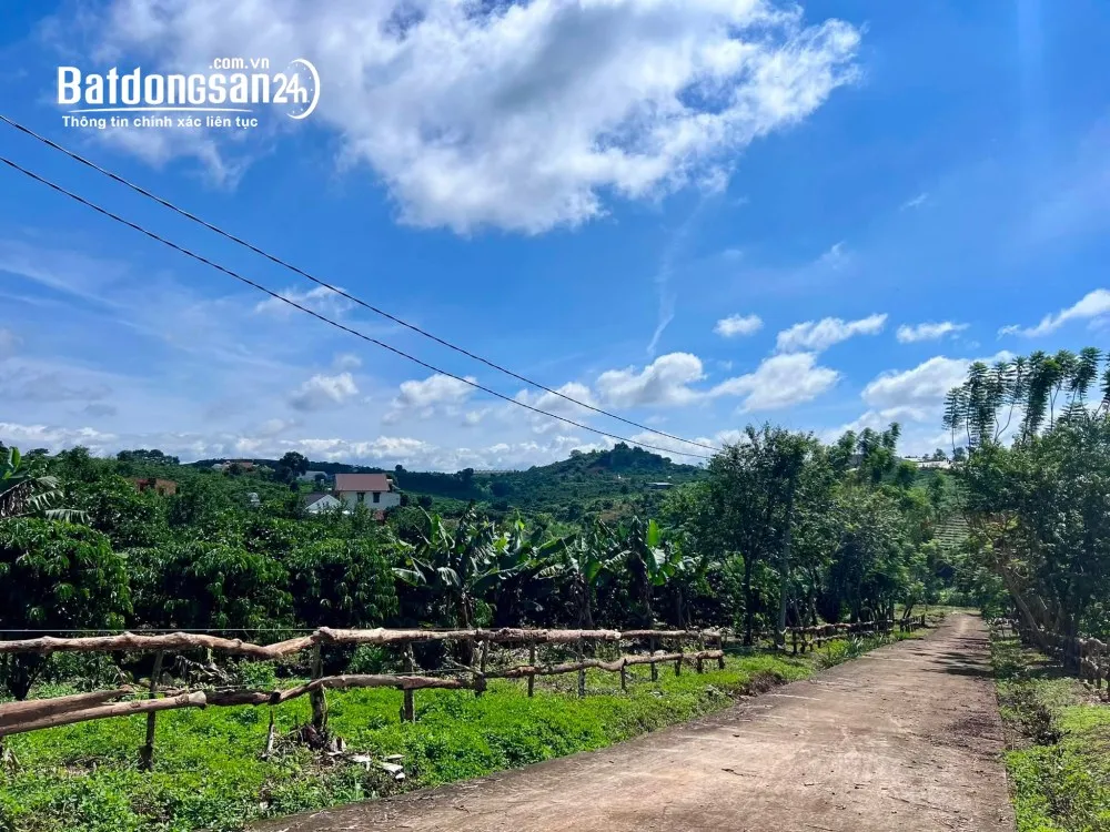 Bán đất vườn 1.000m2 tại Nam Hà, Lâm Hà – 2 mặt tiền, sẵn 100m2 thổ cư.