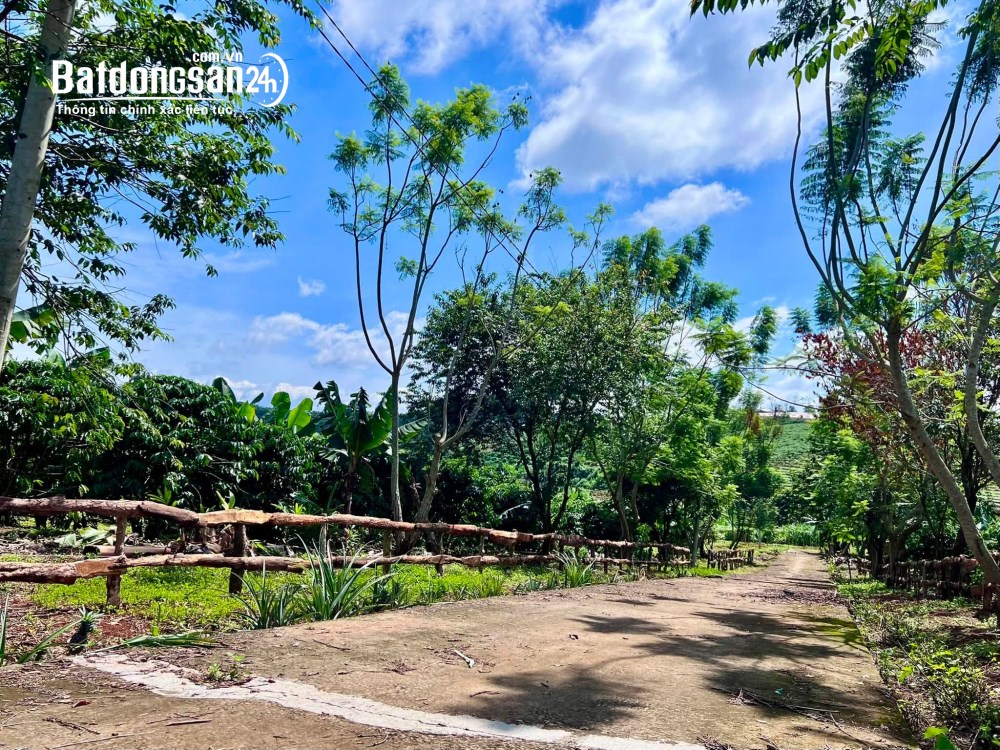Bán đất vườn 1.000m2 tại Nam Hà, Lâm Hà – 2 mặt tiền, sẵn 100m2 thổ cư.