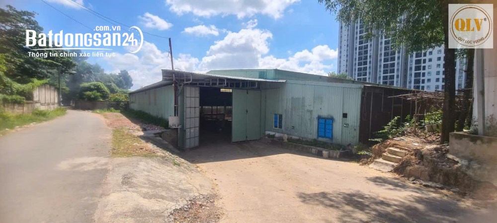 Cho thuê nhà xưởng Thủ Dầu Một, Bình Dương, xưởng 2.000m2 trên khuôn viên 6.000m2.