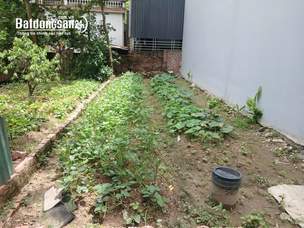 Bán đất 53m2 tại Mê Linh, giá hơn 2 tỷ - Đường ô tô vào tận đất.