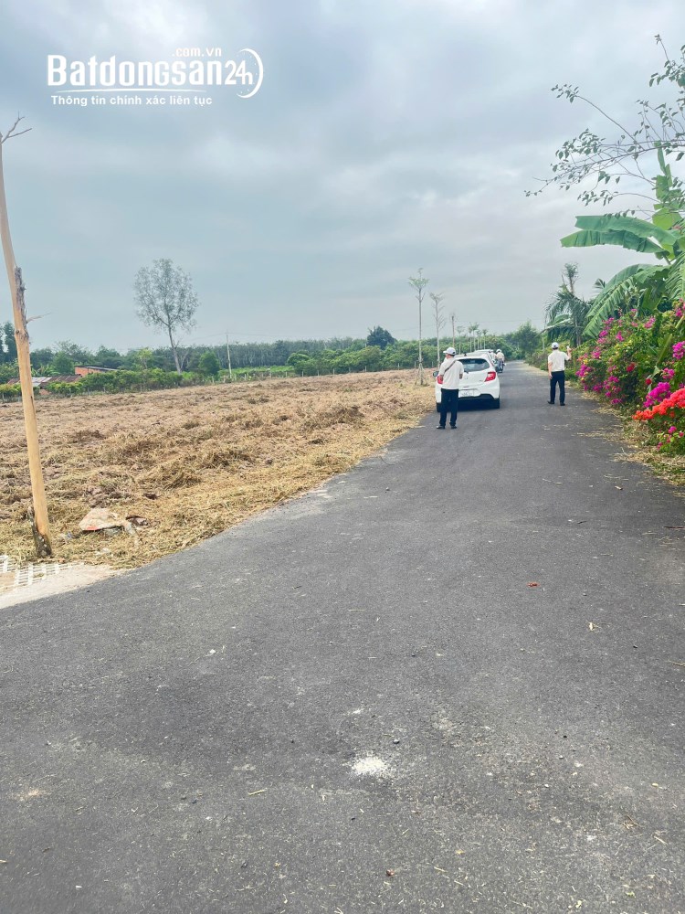 Bán gấp lô đất 345m2 tại Hòa Hội - Vị trí đẹp gần Hồ Tràm, giá chỉ 4,5 triệu/m2.