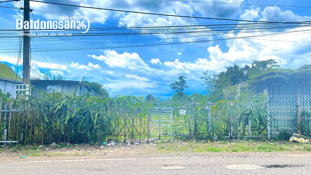 Bán đất mặt tiền đường nhựa DH1 xã Tân Hội, Đức Trọng, 5.000m2 (700m2 thổ cư) - giá 12 tỷ.