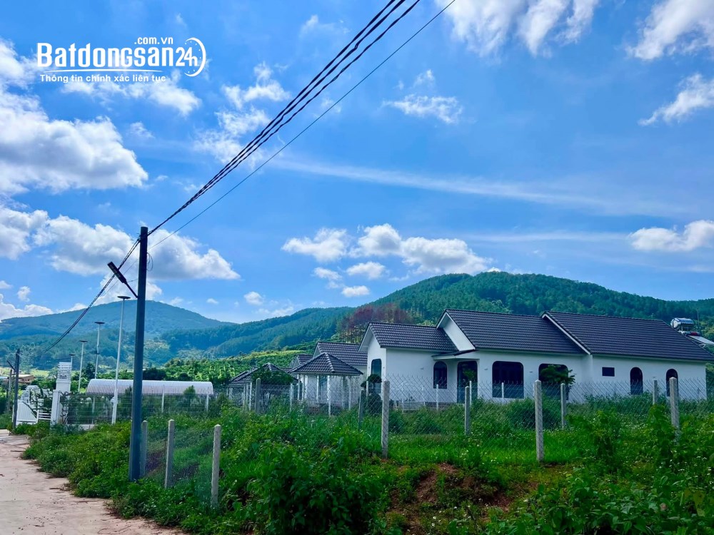 Bán đất đường Tỉnh lộ 725, xã Nam Ban, huyện Lâm Hà, tỉnh Lâm Đồng, 239m2, giá tốt.