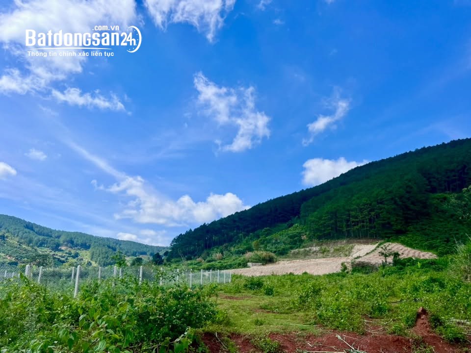 Bán đất đường Tỉnh lộ 725, xã Nam Ban, huyện Lâm Hà, tỉnh Lâm Đồng, 239m2, giá tốt.