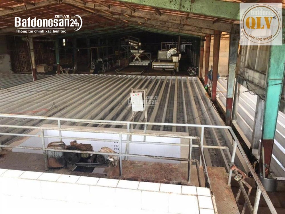 Bán nhà máy chế biến mủ cao su diện tích 20.000m2, mặt tiền ĐT741, Phú Riềng, Bình Phước.