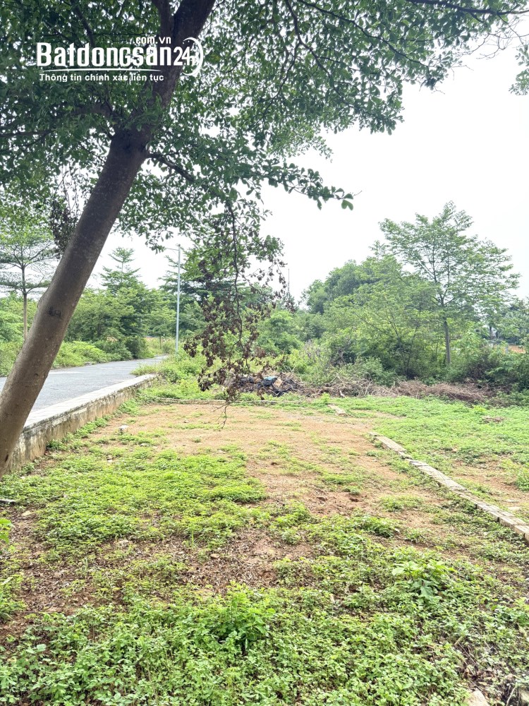 Cơ hội đầu tư lô góc Đồng Trạng, Sơn Tây – 64.5m2, vị trí đắc địa.