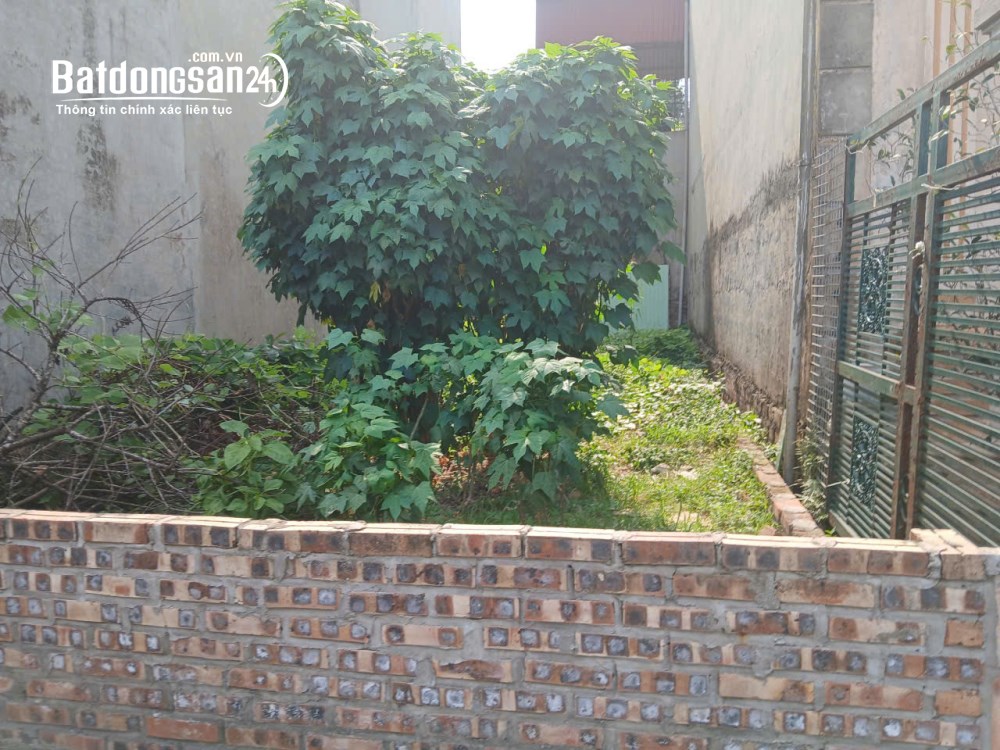 Lô đất vàng 70m2 tại Mê Linh – sát KCN Quang Minh, tiềm năng kinh doanh tốt.