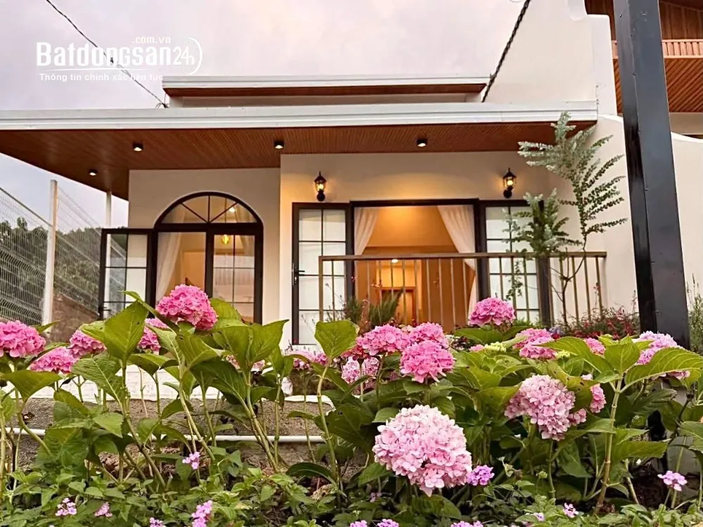 Bán Villa Mini Ven Đà Lạt, Nam Ban – 239m2, Sổ Hồng Riêng, Công Chứng Ngay.