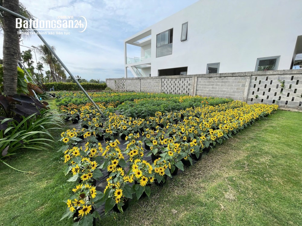 Bán nhanh lô biệt thự vườn AVANA Tropic Villa - Diện tích 457m² - 700m² Xã Đất Đỏ, TP Hồ Chí Minh.