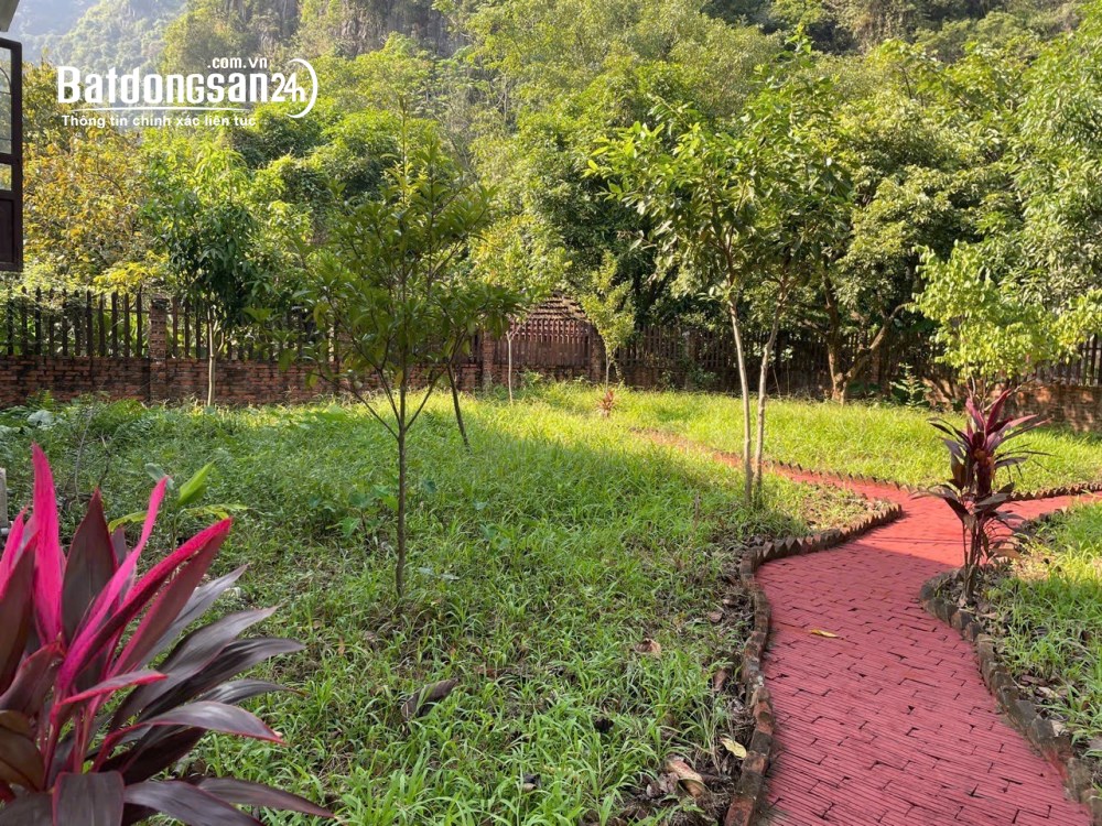 Bán gấp 1.350m² đất làm homestay tại hồ Thác Bà, - Vị trí "vàng" cho du lịch, giá 1.15 tỷ.