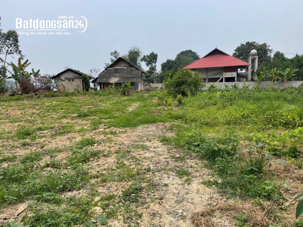 Bán gấp 1.350m² đất làm homestay tại hồ Thác Bà, - Vị trí "vàng" cho du lịch, giá 1.15 tỷ.