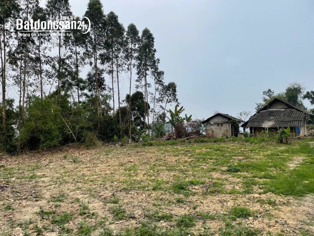 Bán gấp 1.350m² đất làm homestay tại hồ Thác Bà, - Vị trí "vàng" cho du lịch, giá 1.15 tỷ.