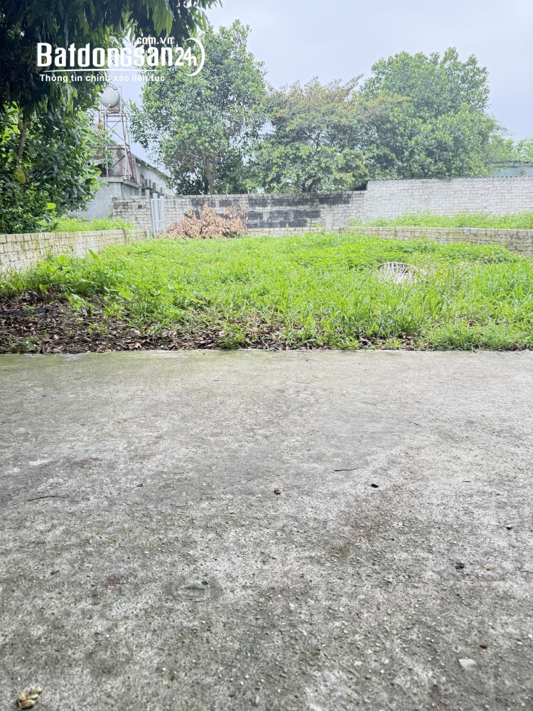 Bán đất nền 147m², mặt tiền 8m tại Cổ Đông, Sơn Tây - đường thông, giá đầu tư tốt nhất khu vực.