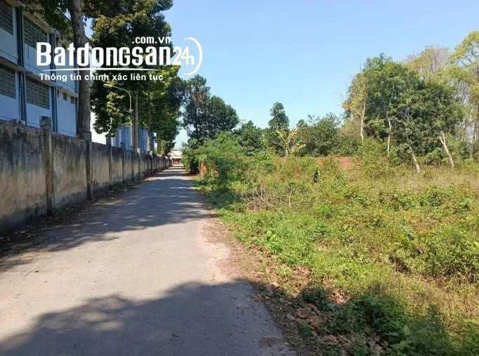 Đất mặt tiền sát trường học, xã An Long, TP. HCM - 3426m², giá "ngộp" chỉ 850 triệu.
