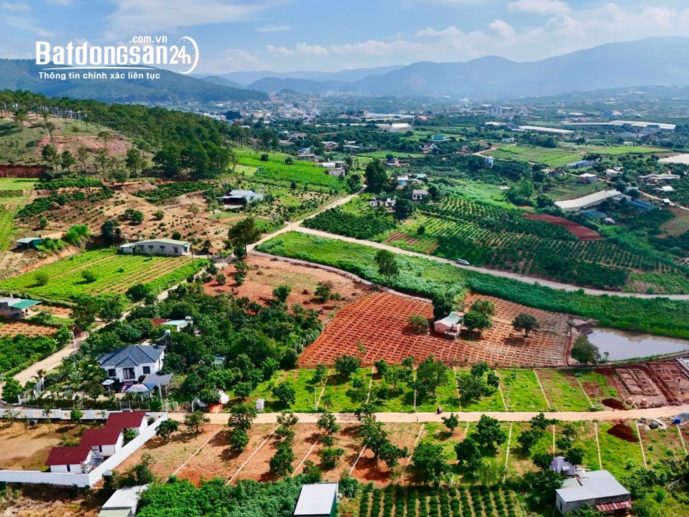 Bán đất ven Đà Lạt – 322m² (259m² thổ cư), mặt tiền 12m, hạ tầng hoàn thiện, sẵn sàng xây dựng.