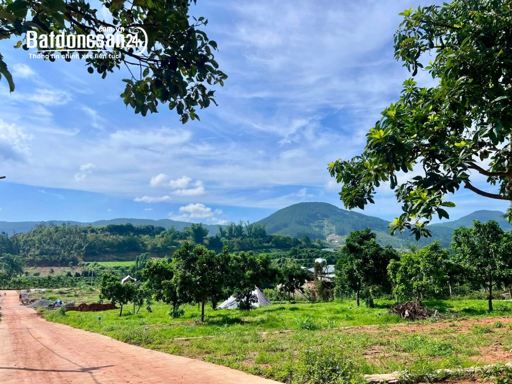 Bán đất ven Đà Lạt – 322m² (259m² thổ cư), mặt tiền 12m, hạ tầng hoàn thiện, sẵn sàng xây dựng.