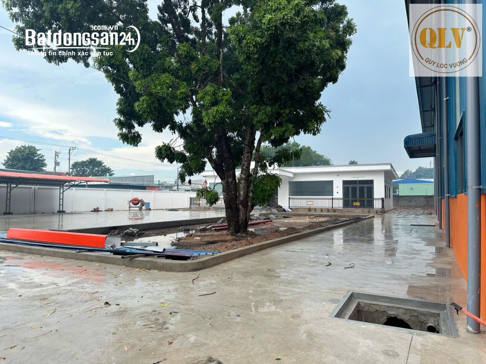 Cho thuê nhà xưởng KCN Bàu Bàng, Bình Dương – Diện tích 7.200m² – Hạ tầng hoàn chỉnh.