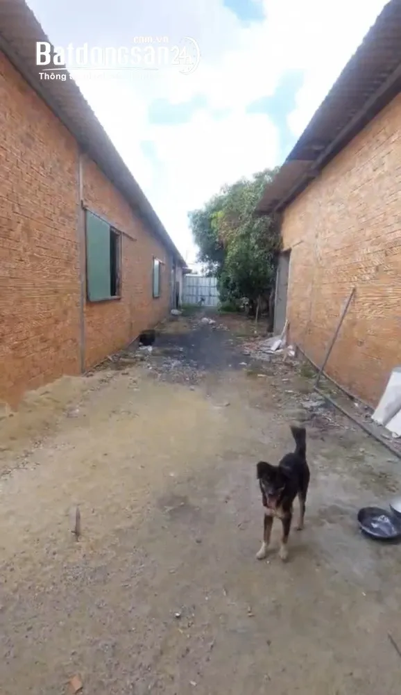 Cho thuê nhà xưởng 400m² tại An Phú Đông, Quận 12 – Vị trí lý tưởng cho sản xuất, kinh doanh.