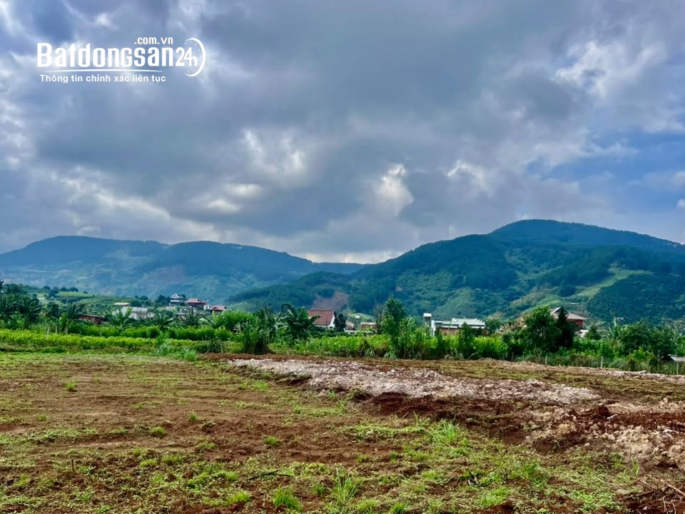 Bán đất Đông Thanh, Xã Nam Ban Lâm Hà, Lâm Đồng– 466m² có 100m² thổ cư – Chỉ 890 triệu.