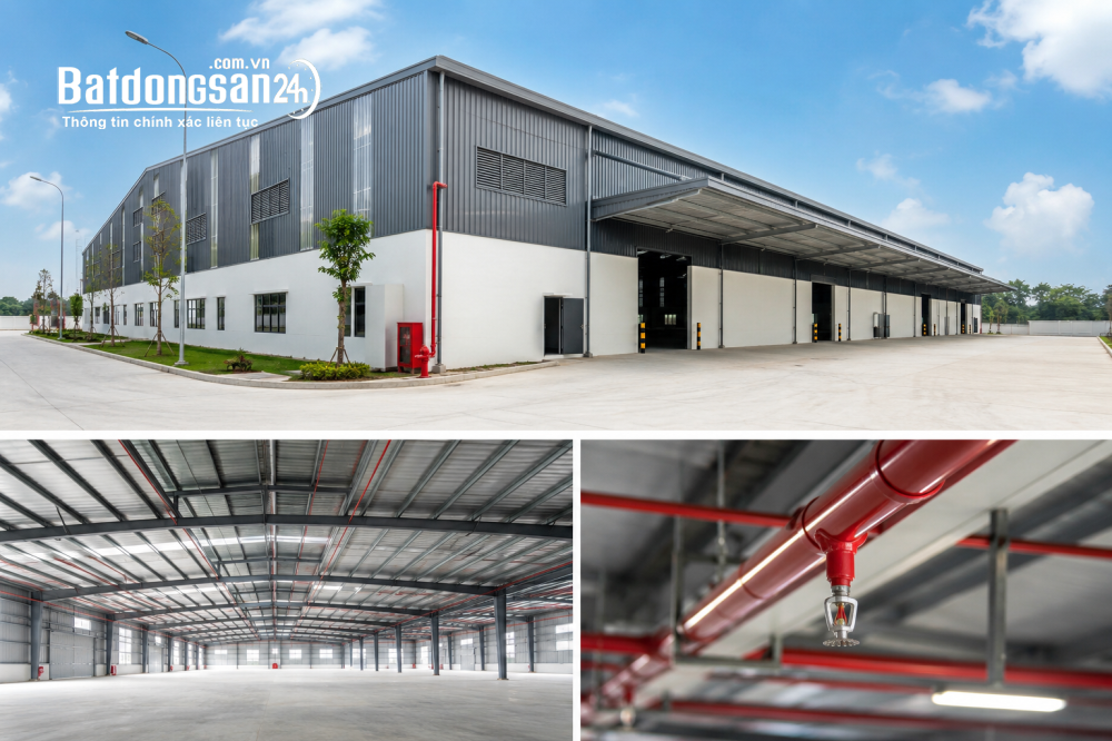 Cho thuê kho xưởng mới 1.000m² – PCCC tự động – Giá từ 65.000đ/m², Hòa Khánh, TP Đà Nẵng.