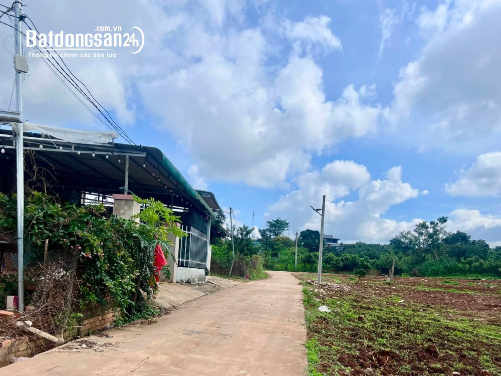 Bán đất Đông Thanh, Xã Nam Ban Lâm Hà, Lâm Đồng– 466m² có 100m² thổ cư – Chỉ 890 triệu.