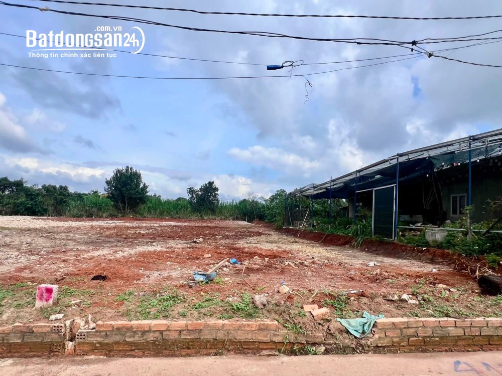 Bán đất Đông Thanh, Xã Nam Ban Lâm Hà, Lâm Đồng– 466m² có 100m² thổ cư – Chỉ 890 triệu.