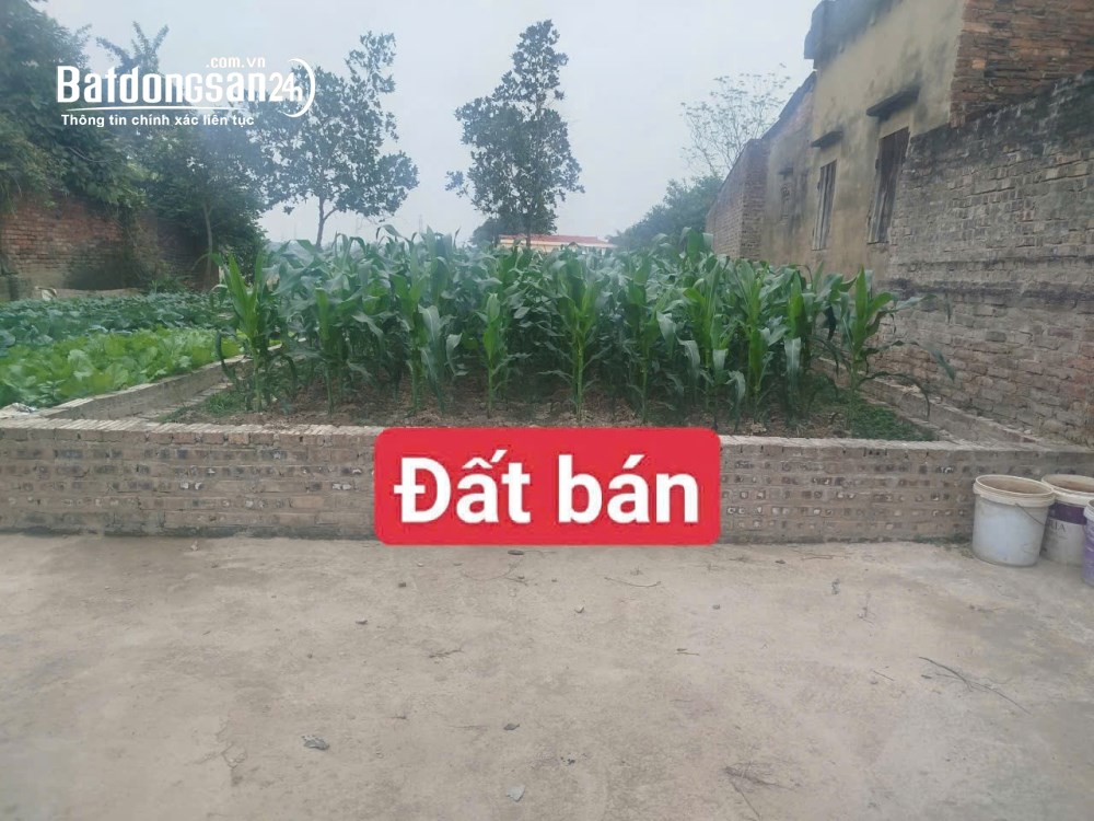 Bán đất Đường 418, Xã Sóc Sơn (H Sóc Sơn cũ), Hà Nội