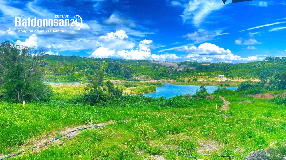Bán đất trang trại Phú Hội, Đức Trọng, Lâm Đồng, diện tích 1,3 ha, giá 3,5 tỷ.