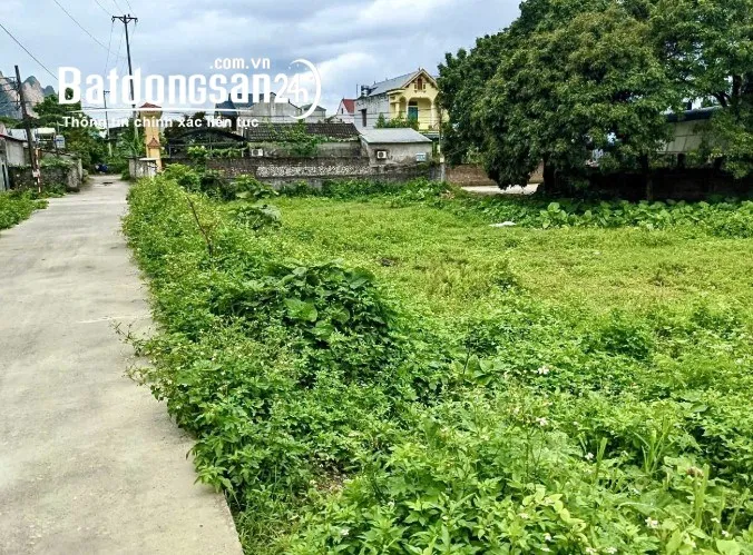 Cơ hội đầu tư vàng: Bán 3 lô đất mặt đường Hồ Chí Minh, khu vực Miếu Môn.