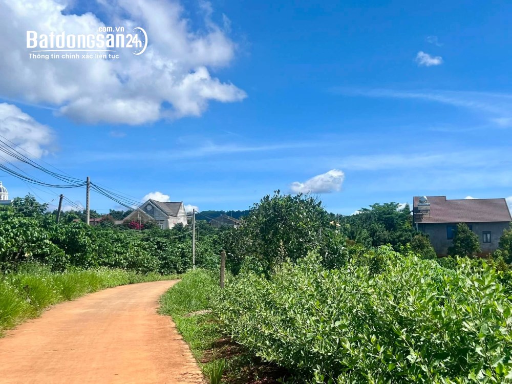 Bán đất ven Đà Lạt, diện tích 872m², view đồi núi, giá 2.9 triệu/m².
