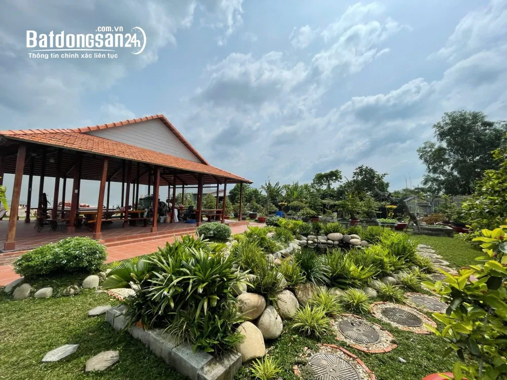Bán đất vị trí đắc địa tại thành phố Cao Lãnh, Đồng Tháp, hơn 1.800m², tiềm năng kinh doanh cao.