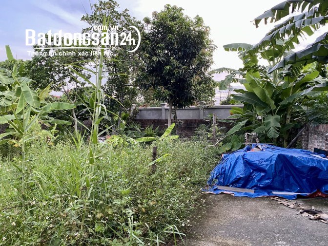 Bán lô góc 100m2 đường Dương Đức Hiền, Huyện Gia Lâm – Lô góc thoáng sáng – Giá 4 tỷ.