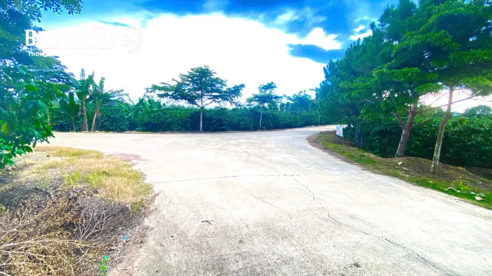 2 sào đất Ninh Gia, Đức Trọng, Lâm Đồng, giá 5 tỷ, 2 mặt hẻm thông, quy hoạch full hồng.
