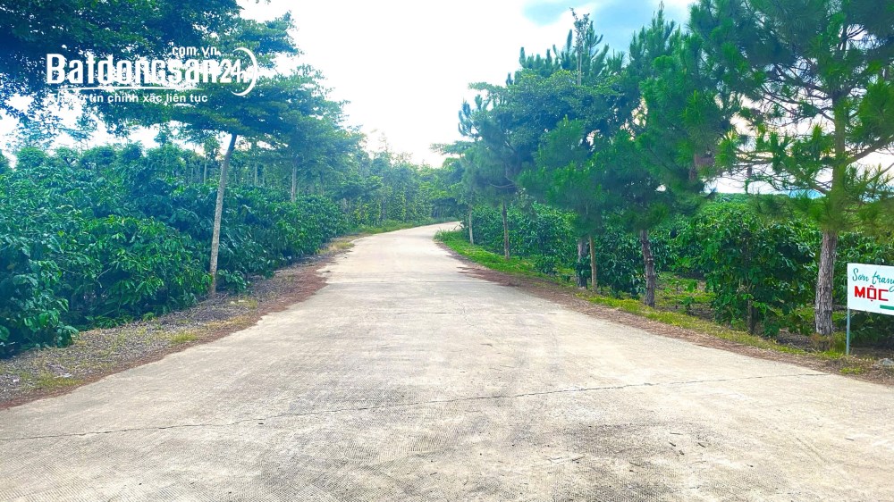 2 sào đất Ninh Gia, Đức Trọng, Lâm Đồng, giá 5 tỷ, 2 mặt hẻm thông, quy hoạch full hồng.