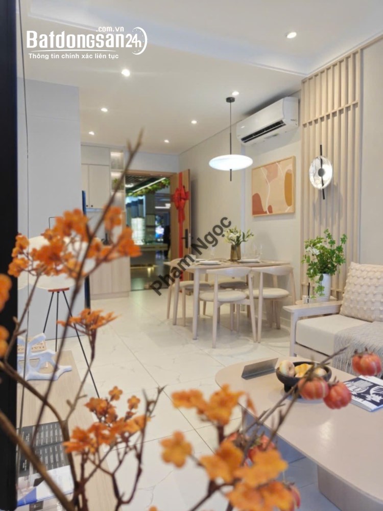 Căn hộ The Win City, mặt tiền TL10, Đức Hòa, Tây Ninh, tiện ích 5 sao, giá chỉ bằng một chiếc Fortu