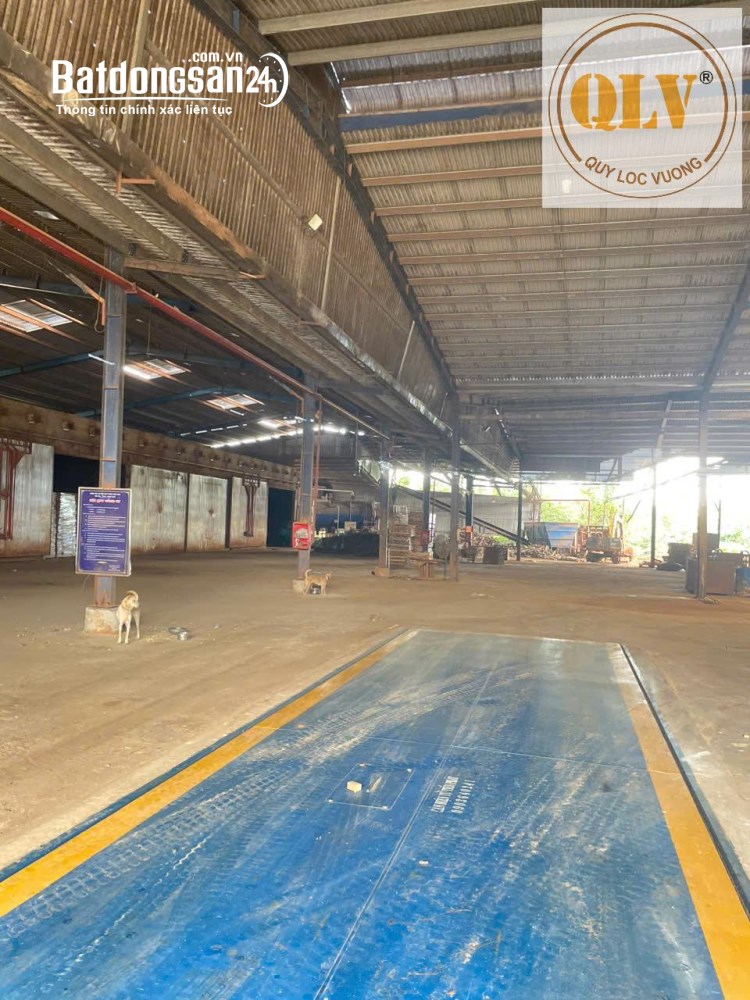 Bán kho xưởng - Đồng Phú, Bình Phước, 8.619 m², hạ tầng đồng bộ, đất SKC, hoạt động ngay.