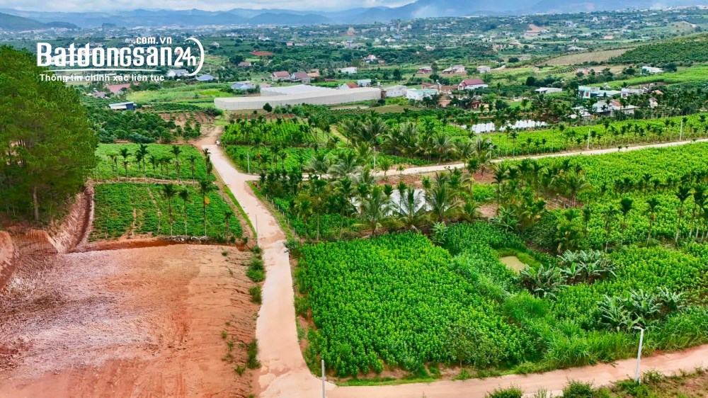 Đất ven Đà Lạt, 309m², hai mặt tiền đường bê tông, chỉ 1,15 tỷ.