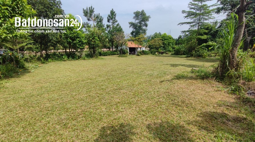 Đất bám hồ Đoài Phương, 4.017m², 26 tỷ, quy hoạch đường 35m, gần Khu CNC Hòa Lạc 3km.