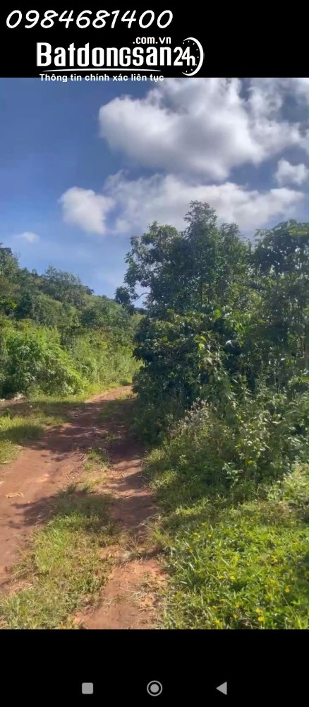 Đất rẫy Tà Nung, Phường Cam Ly, Lâm Đồng, chỉ 160 triệu/sào, diện tích đến 10ha, có thể tách bán.