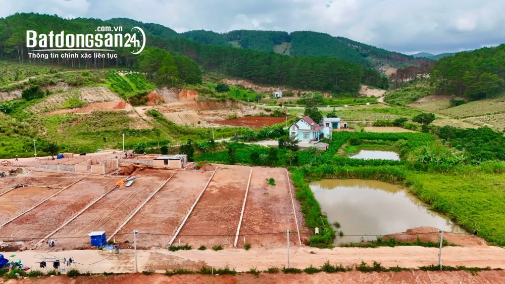Đất ven Đà Lạt 542m², 200m² thổ cư, view đồi thông, hạ tầng sẵn, phù hợp nghỉ dưỡng.