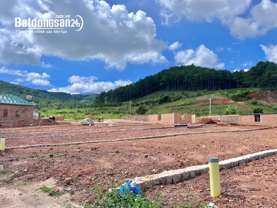 Đất ven Đà Lạt 542m², 200m² thổ cư, view đồi thông, hạ tầng sẵn, phù hợp nghỉ dưỡng.