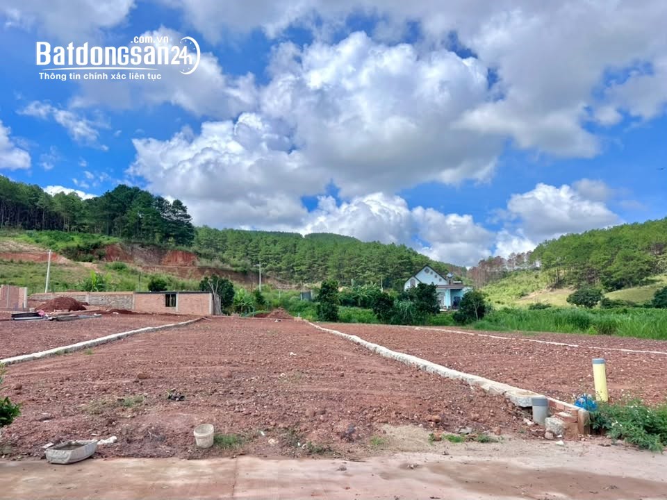 Đất ven Đà Lạt 542m², 200m² thổ cư, view đồi thông, hạ tầng sẵn, phù hợp nghỉ dưỡng.