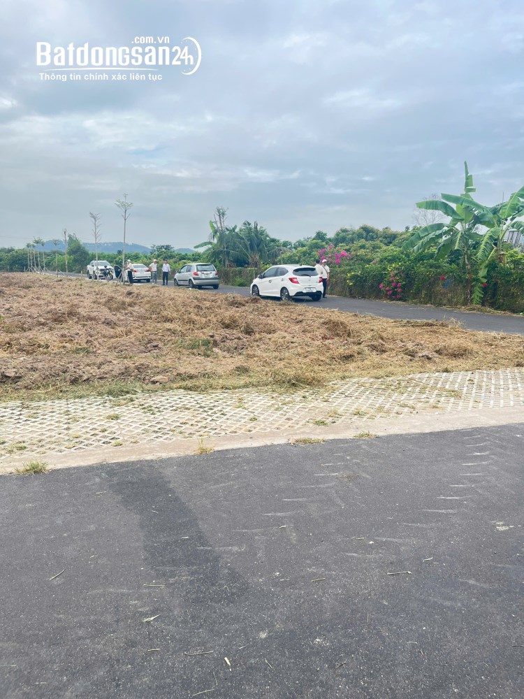 Đất Bình Châu gần Hồ Tràm sổ hồng riêng 343,7m², giá tốt chỉ 1,559 tỷ.