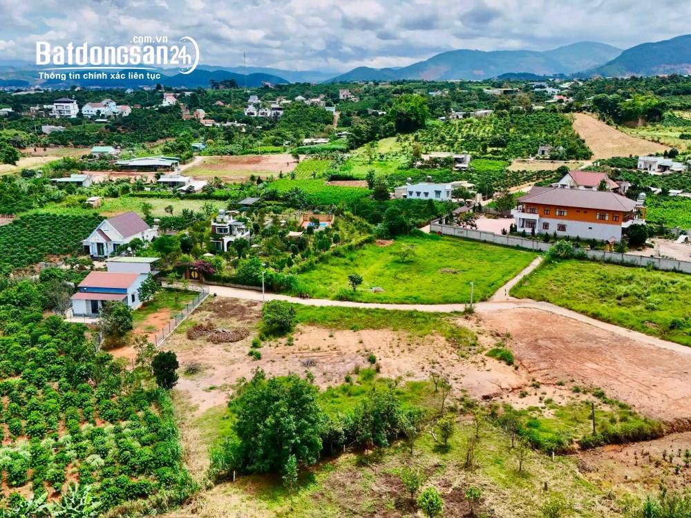 Đất ven Đà Lạt 558m2, TC 209m2, nở hậu, pháp lý rõ ràng, không gian nghỉ dưỡng yên bình.